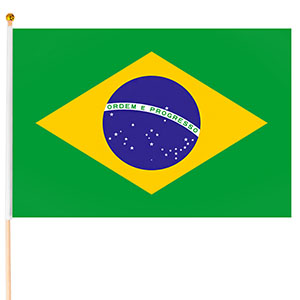 Brazílie vlajka 45x30cm