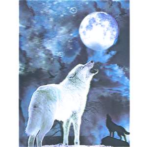 Obraz 3D Vlk vyjící na měsíc