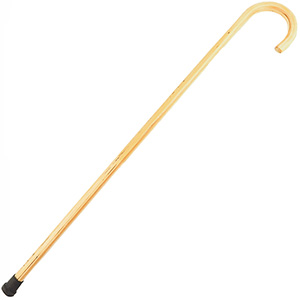 Vycházková hůl bledá